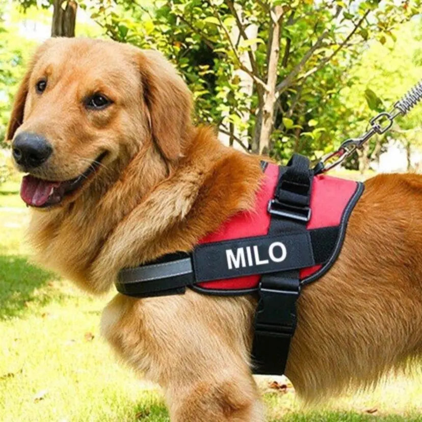 Arnés para perros guardianes personalizable