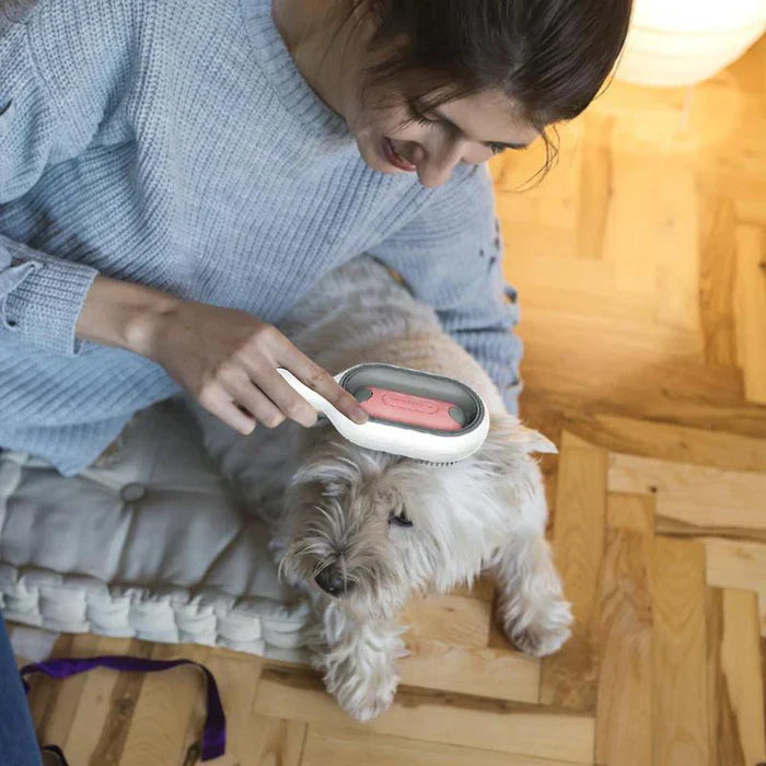 Brosse à eau de toilettage pour animaux de compagnie