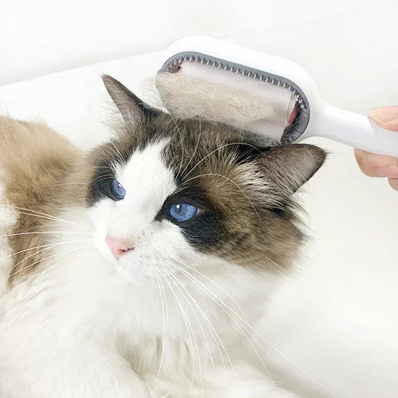 Brosse à eau de toilettage pour animaux de compagnie