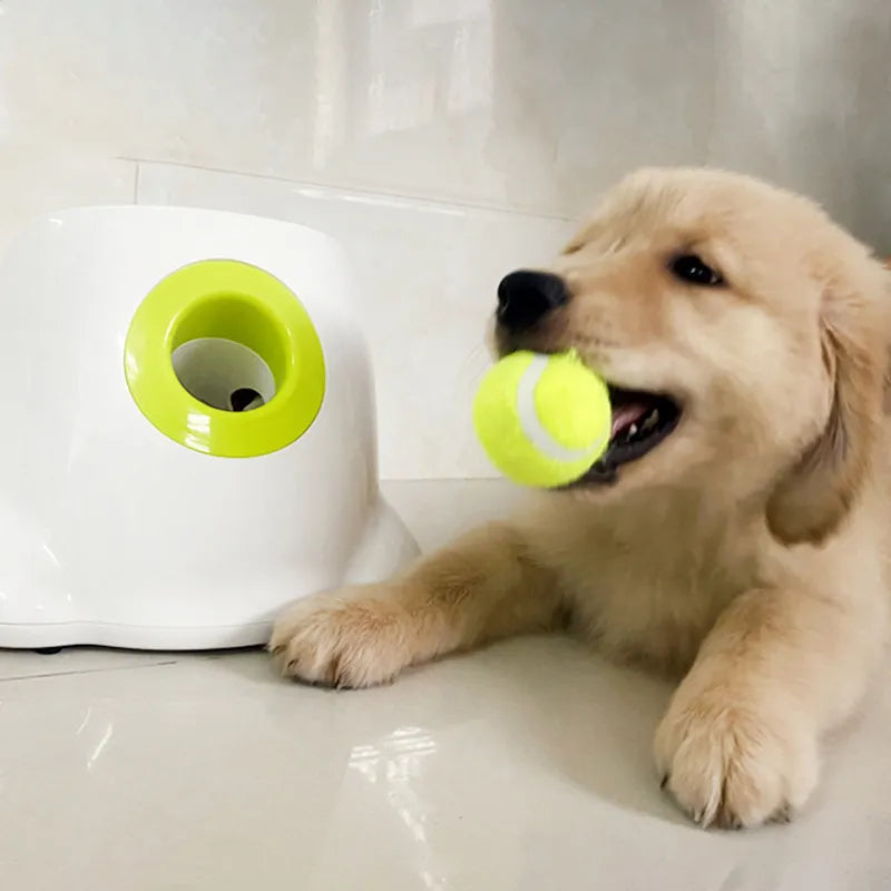 Lanzador automático de bolas para mascotas