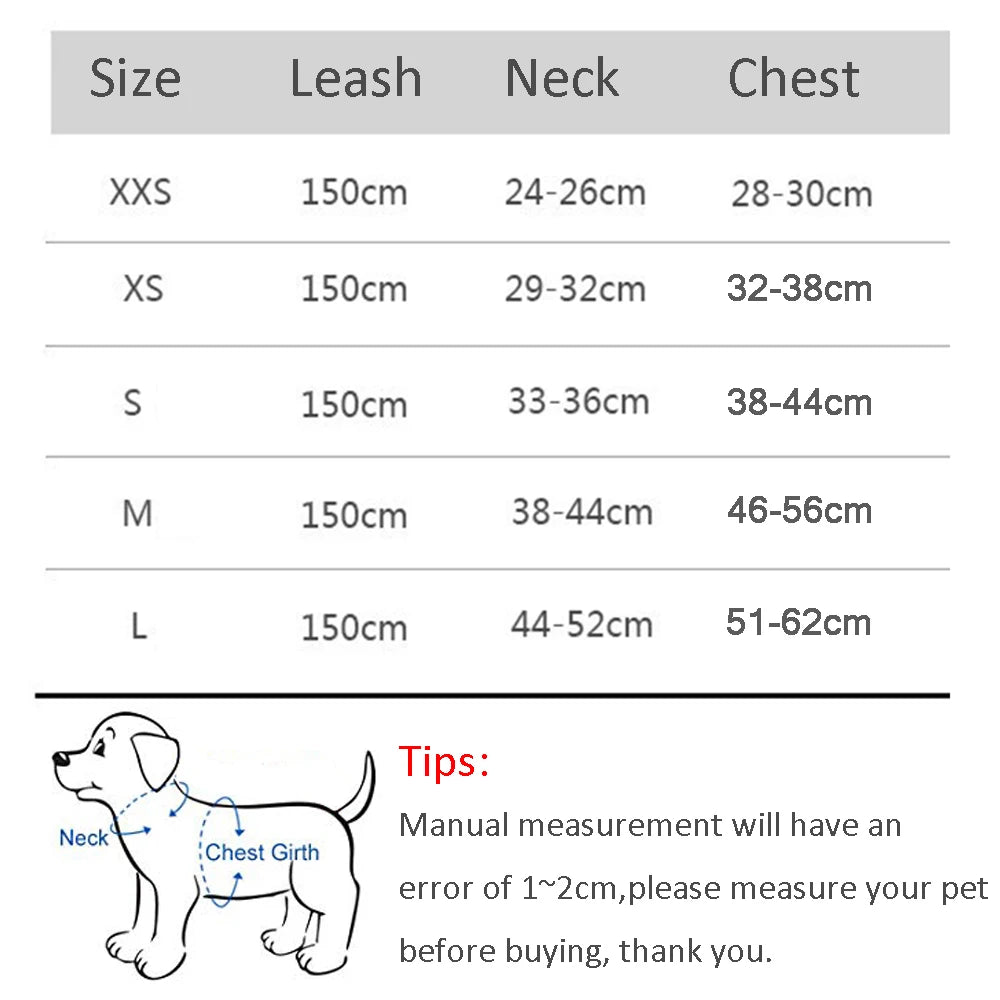 Combo harnais et laisse pour chien