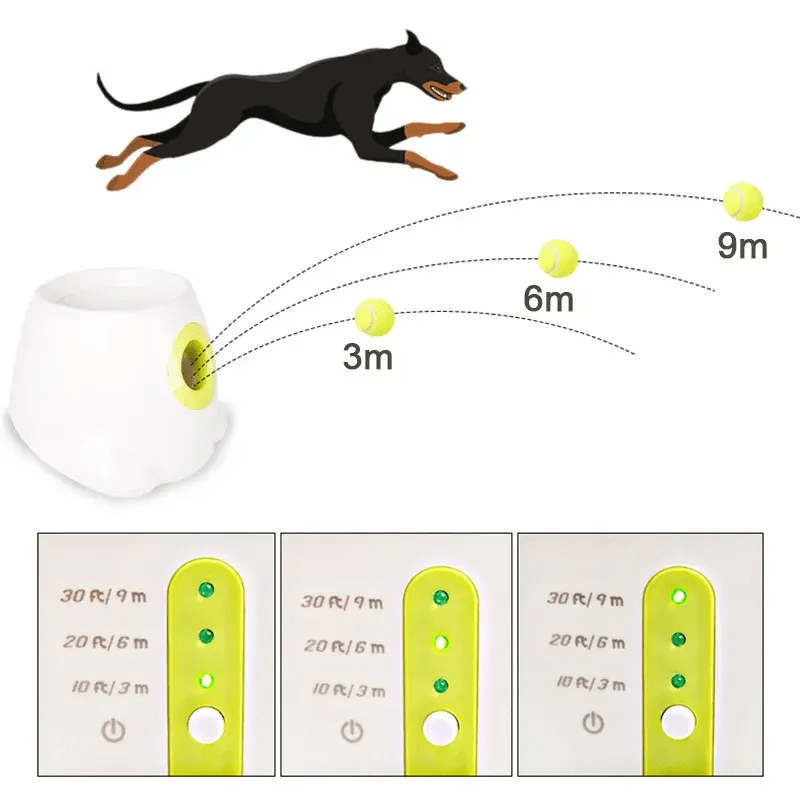 Lanceur automatique de balles pour animaux de compagnie