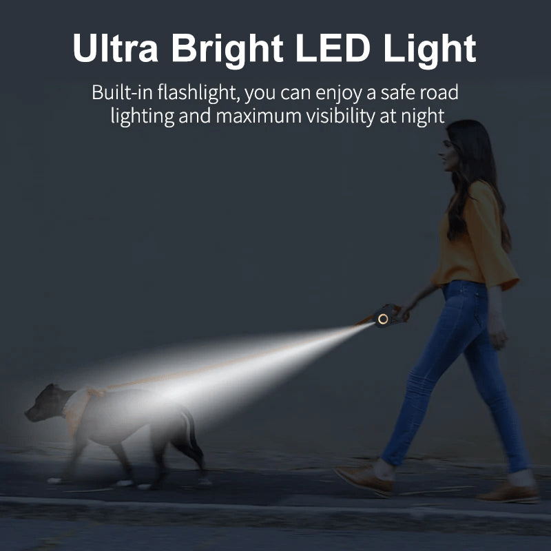 Laisse pour chien à LED