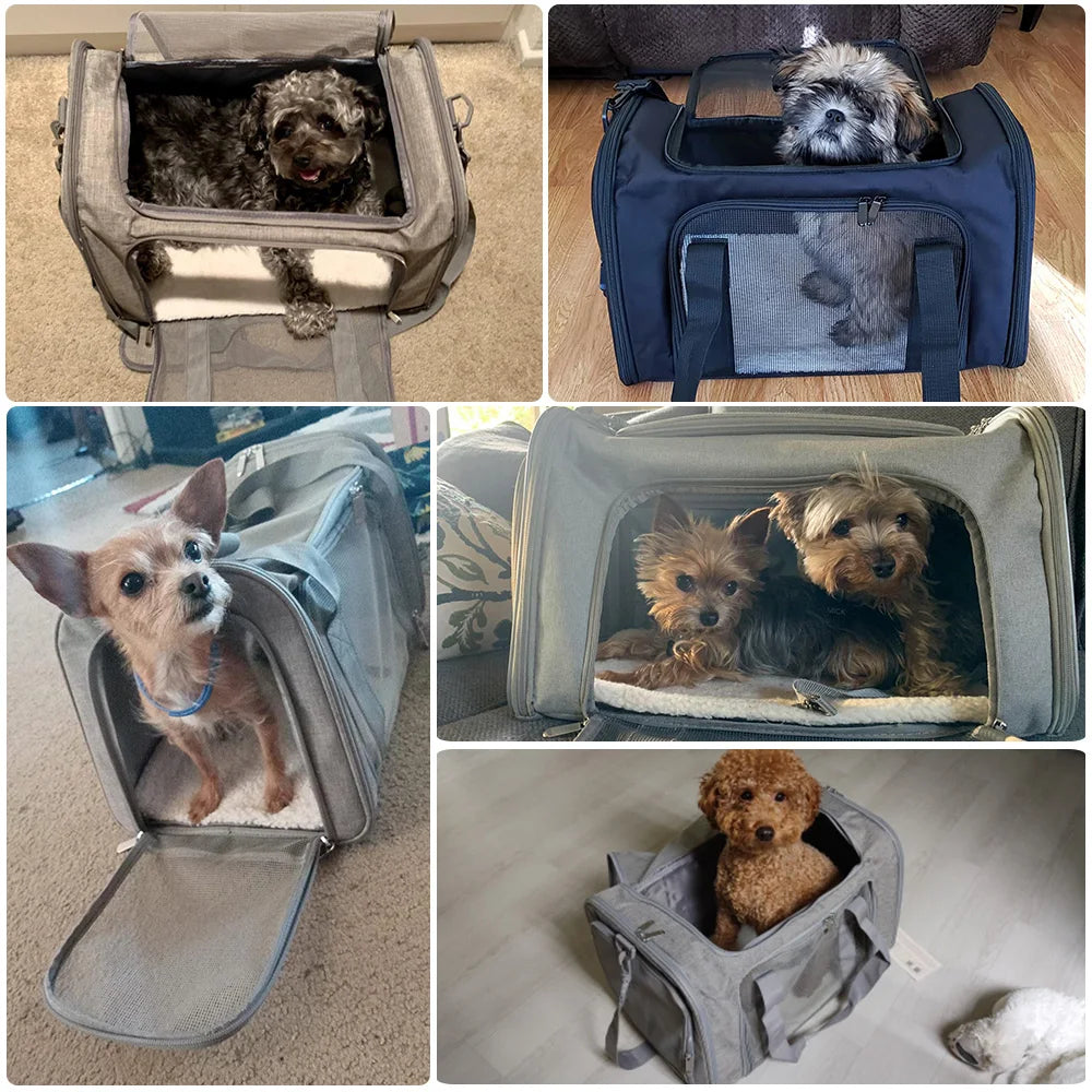 Travel Pet Carrier