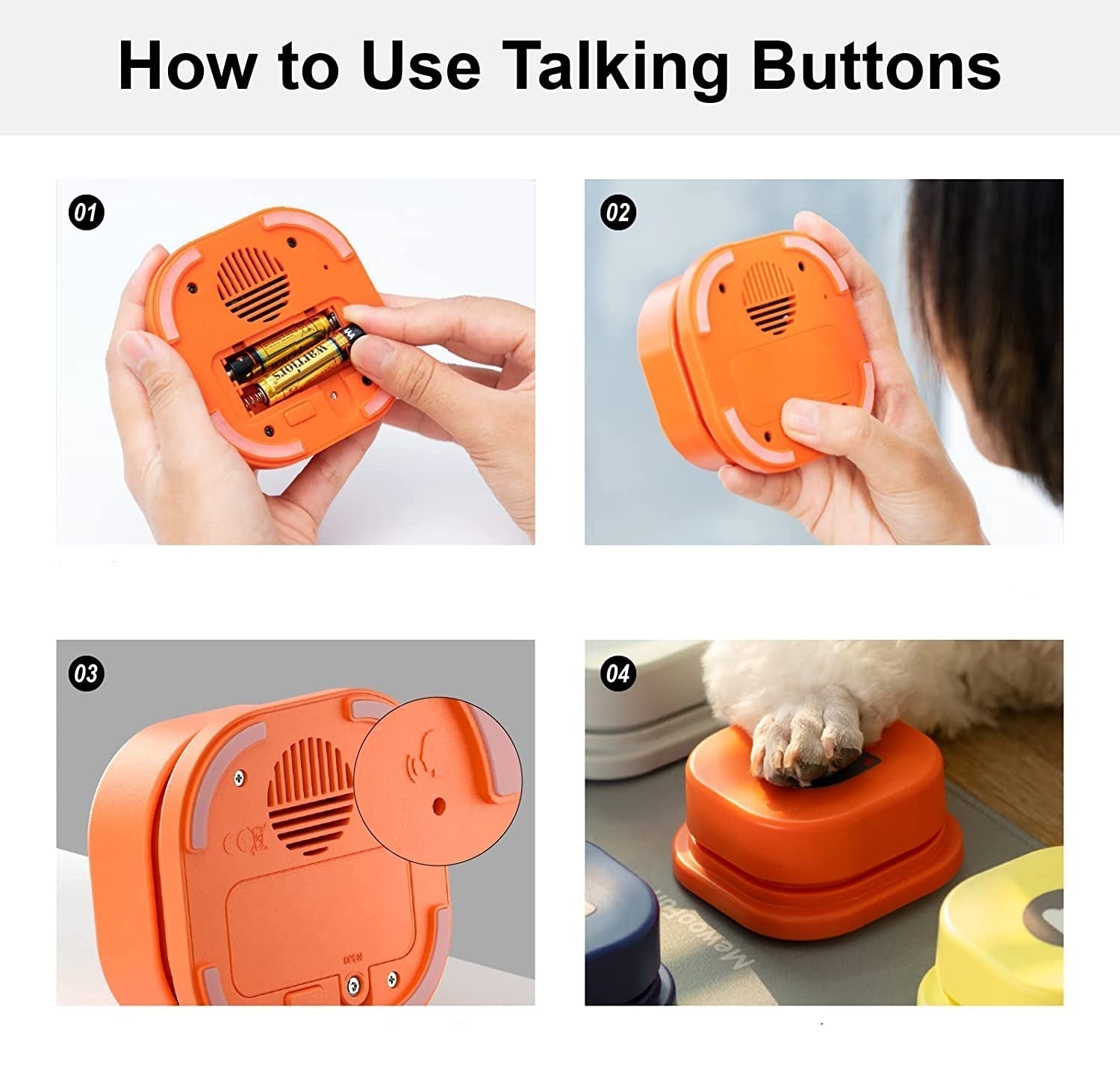 Interactive Dog Speech Training Kit