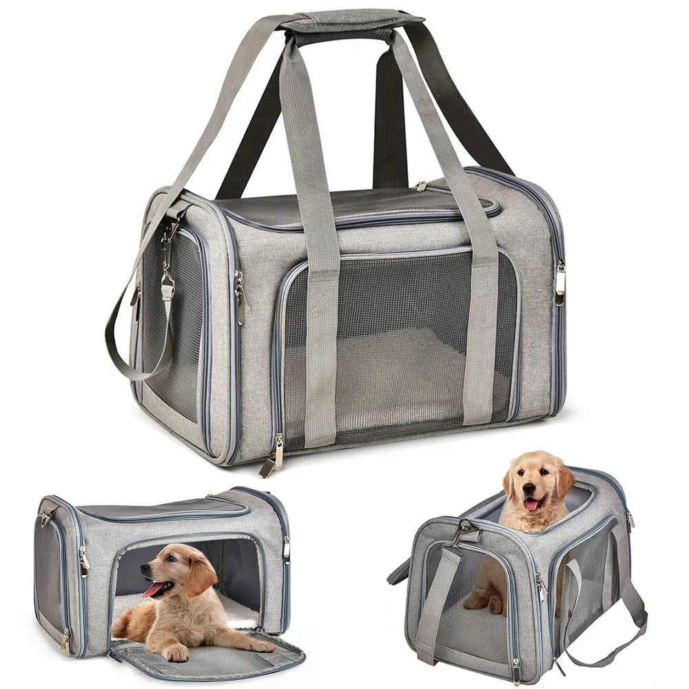 Travel Pet Carrier